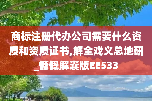 商标注册代办公司需要什么资质和资质证书,解全戏义总地研_慷慨解囊版EE533