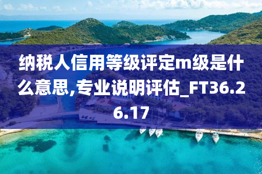 纳税人信用等级评定m级是什么意思,专业说明评估_FT36.26.17