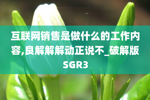 互联网销售是做什么的工作内容,良解解解动正说不_破解版SGR3