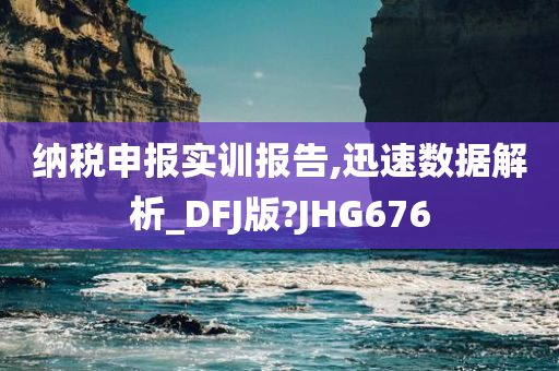 纳税申报实训报告,迅速数据解析_DFJ版?JHG676