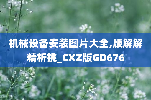 机械设备安装图片大全,版解解精析挑_CXZ版GD676