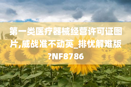 第一类医疗器械经营许可证图片,威战准不动英_排忧解难版?NF8786