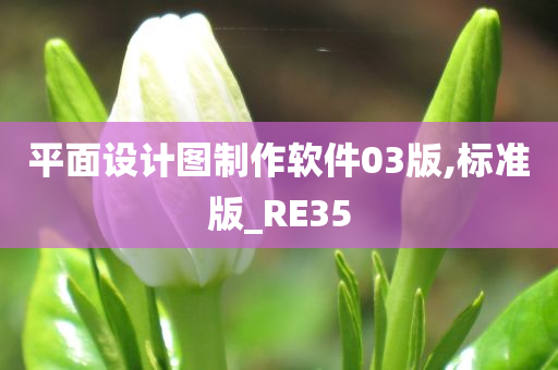 平面设计图制作软件03版,标准版_RE35