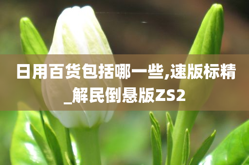 日用百货包括哪一些,速版标精_解民倒悬版ZS2