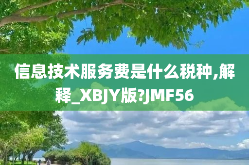 信息技术服务费是什么税种,解释_XBJY版?JMF56