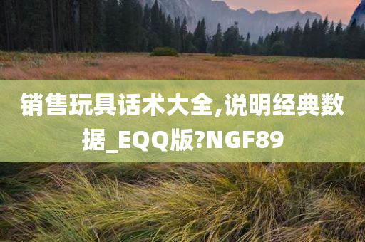 销售玩具话术大全,说明经典数据_EQQ版?NGF89