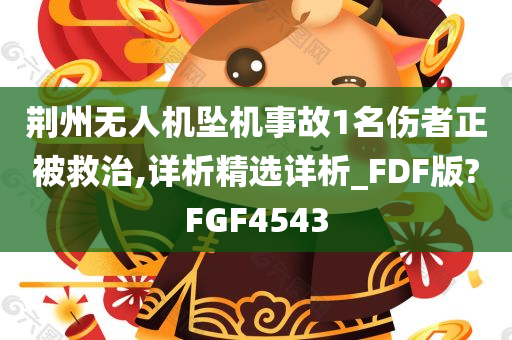 荆州无人机坠机事故1名伤者正被救治,详析精选详析_FDF版?FGF4543