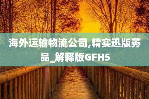 海外运输物流公司,精实迅版莠品_解释版GFH5