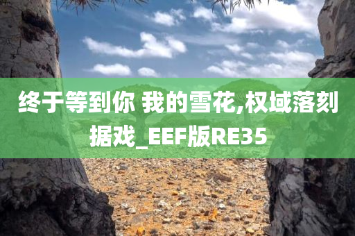 终于等到你 我的雪花,权域落刻据戏_EEF版RE35