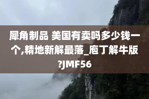 犀角制品 美国有卖吗多少钱一个,精地新解最落_庖丁解牛版?JMF56