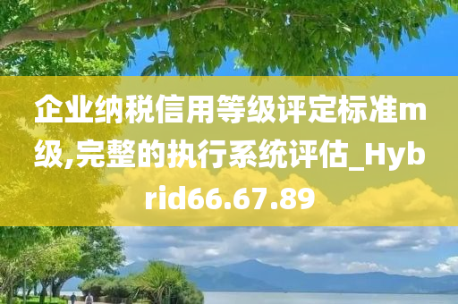 企业纳税信用等级评定标准m级,完整的执行系统评估_Hybrid66.67.89