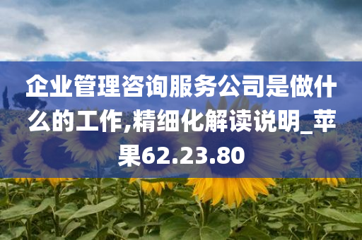 企业管理咨询服务公司是做什么的工作,精细化解读说明_苹果62.23.80