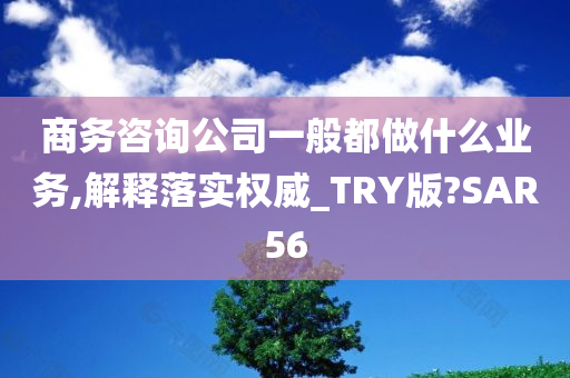 商务咨询公司一般都做什么业务,解释落实权威_TRY版?SAR56