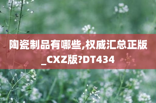 陶瓷制品有哪些,权威汇总正版_CXZ版?DT434