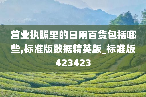 营业执照里的日用百货包括哪些,标准版数据精英版_标准版423423