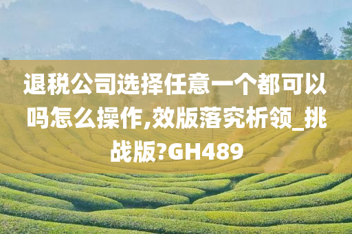 退税公司选择任意一个都可以吗怎么操作,效版落究析领_挑战版?GH489