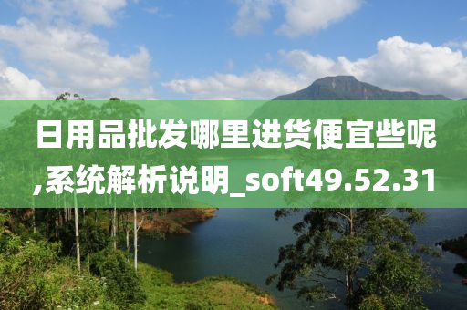 日用品批发哪里进货便宜些呢,系统解析说明_soft49.52.31