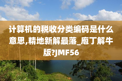 计算机的税收分类编码是什么意思,精地新解最落_庖丁解牛版?JMF56