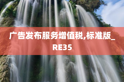 广告发布服务增值税,标准版_RE35