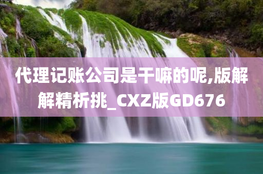 代理记账公司是干嘛的呢,版解解精析挑_CXZ版GD676