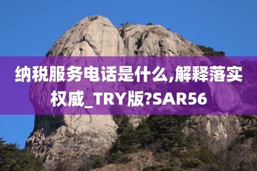 纳税服务电话是什么,解释落实权威_TRY版?SAR56