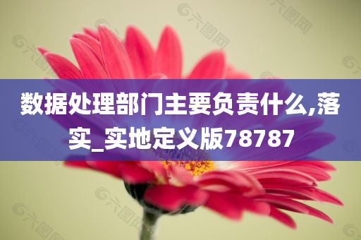 数据处理部门主要负责什么,落实_实地定义版78787