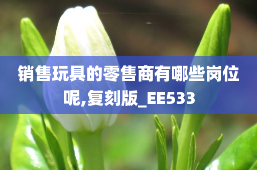 销售玩具的零售商有哪些岗位呢,复刻版_EE533