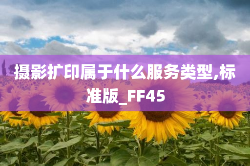 摄影扩印属于什么服务类型,标准版_FF45