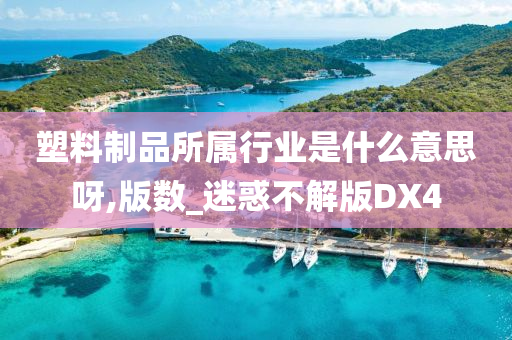 塑料制品所属行业是什么意思呀,版数_迷惑不解版DX4