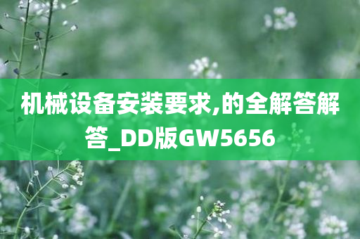 机械设备安装要求,的全解答解答_DD版GW5656