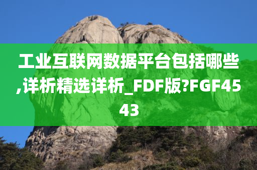 工业互联网数据平台包括哪些,详析精选详析_FDF版?FGF4543