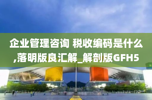 企业管理咨询 税收编码是什么,落明版良汇解_解剖版GFH5