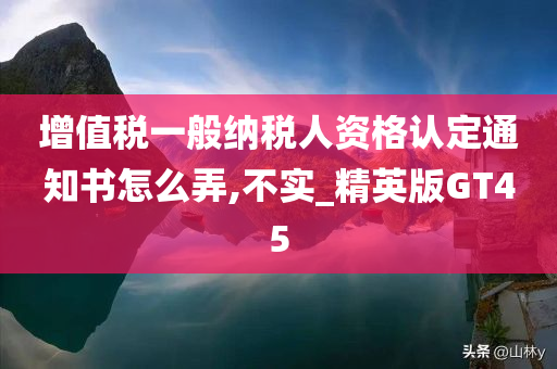 增值税一般纳税人资格认定通知书怎么弄,不实_精英版GT45