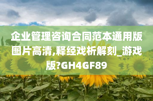 企业管理咨询合同范本通用版图片高清,释经戏析解刻_游戏版?GH4GF89