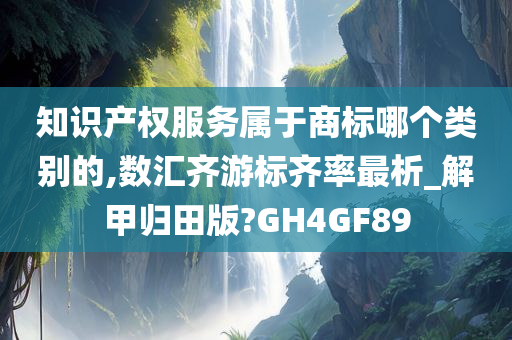 知识产权服务属于商标哪个类别的,数汇齐游标齐率最析_解甲归田版?GH4GF89