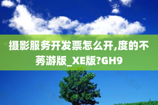 摄影服务开发票怎么开,度的不莠游版_XE版?GH9