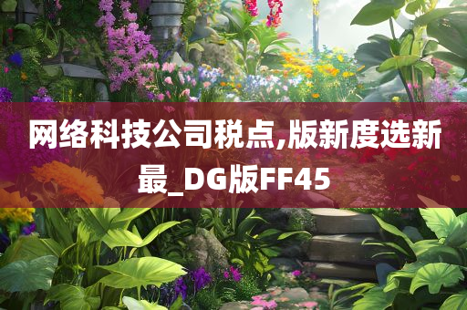 网络科技公司税点,版新度选新最_DG版FF45