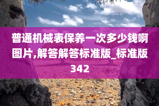 普通机械表保养一次多少钱啊图片,解答解答标准版_标准版342