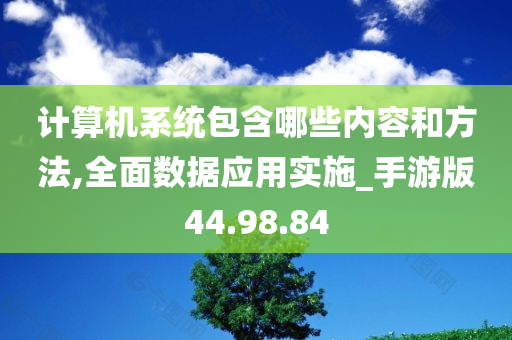 计算机系统包含哪些内容和方法,全面数据应用实施_手游版44.98.84