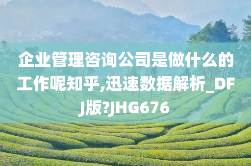 企业管理咨询公司是做什么的工作呢知乎,迅速数据解析_DFJ版?JHG676