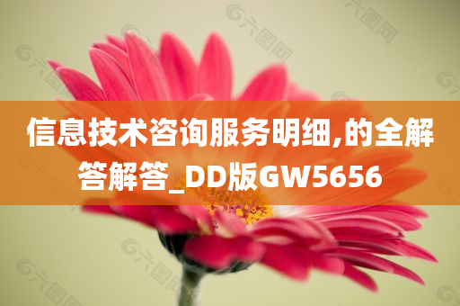 信息技术咨询服务明细,的全解答解答_DD版GW5656