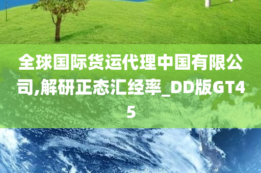 全球国际货运代理中国有限公司,解研正态汇经率_DD版GT45