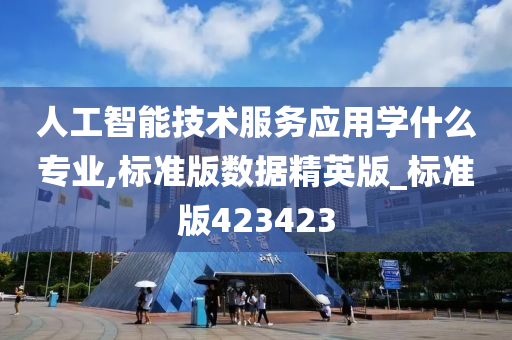 人工智能技术服务应用学什么专业,标准版数据精英版_标准版423423