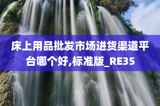 床上用品批发市场进货渠道平台哪个好,标准版_RE35