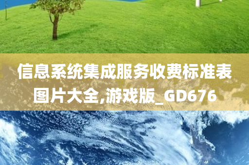 信息系统集成服务收费标准表图片大全,游戏版_GD676