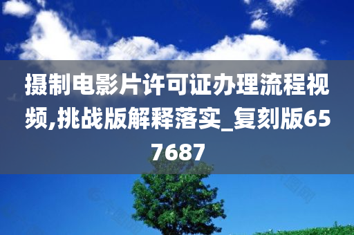 摄制电影片许可证办理流程视频,挑战版解释落实_复刻版657687