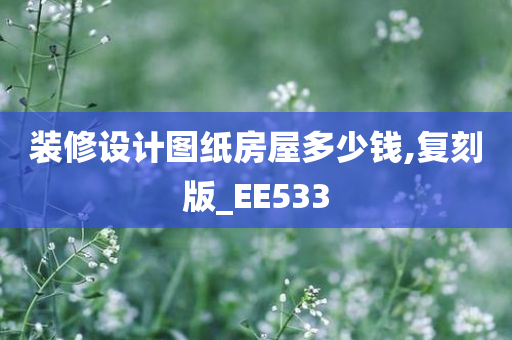 装修设计图纸房屋多少钱,复刻版_EE533