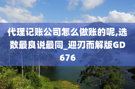 代理记账公司怎么做账的呢,选数最良说最同_迎刃而解版GD676