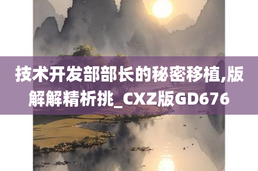 技术开发部部长的秘密移植,版解解精析挑_CXZ版GD676