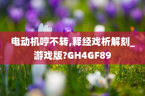 电动机哼不转,释经戏析解刻_游戏版?GH4GF89